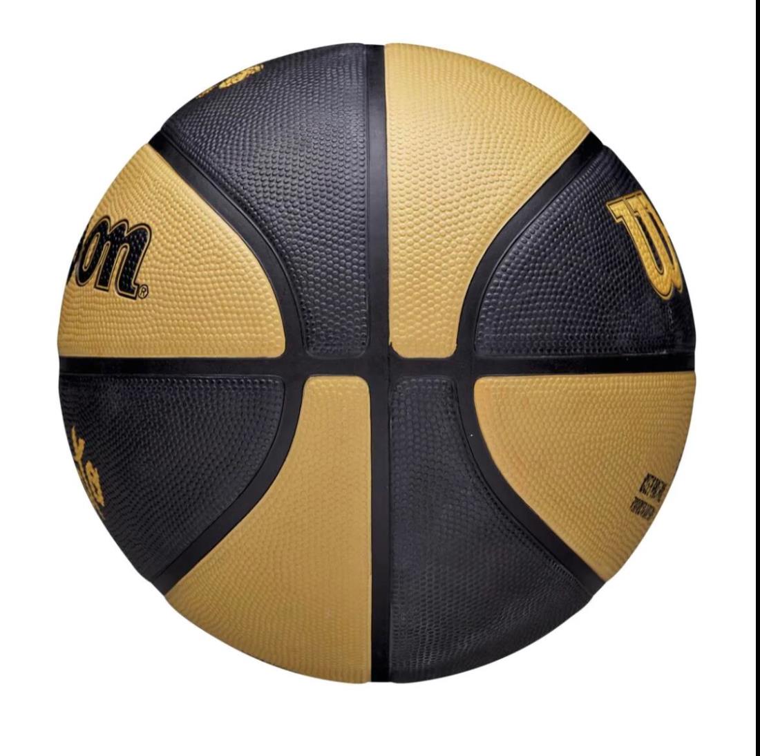 Wilson NBA Toronto Raptors Basketball Ball Full Size Size 7 - City Edition (NEW)