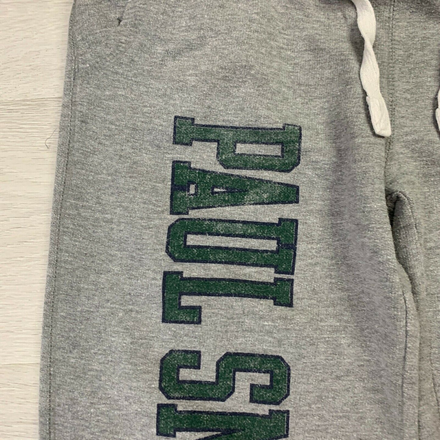 Champion Paul Smith's College Mens Grey Jogger Pants Size Small