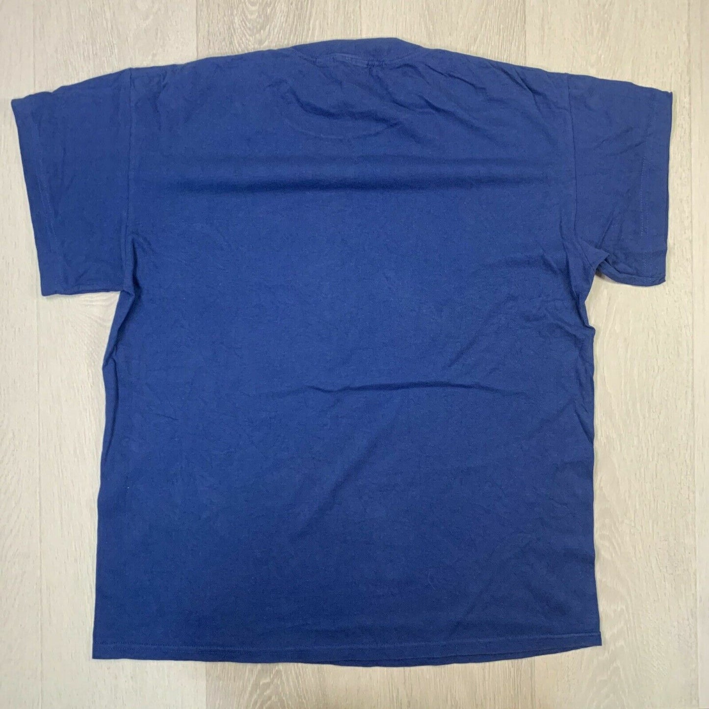 Indianapolis Colts AFC South Champion 06 Mens Blue T-Shirt Size L/XL Approx