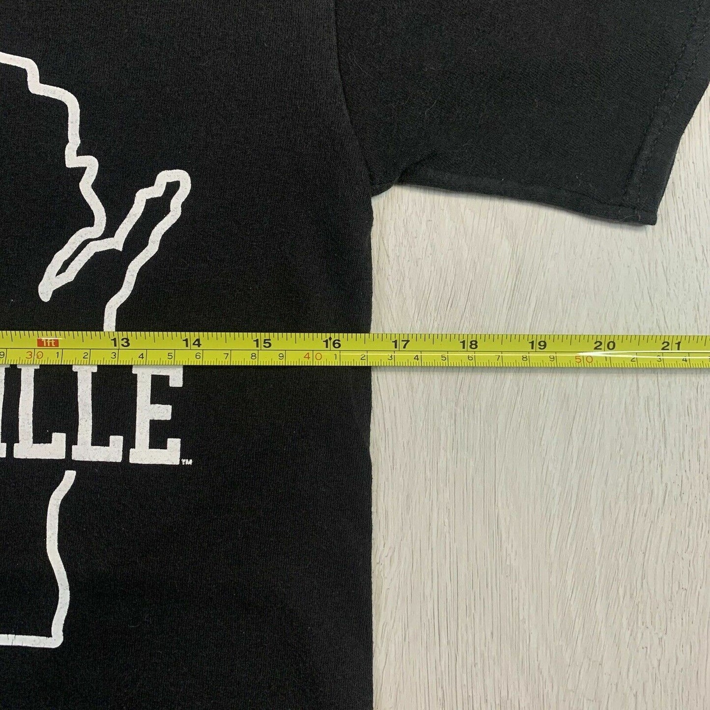 Champion University of Wisconsin-Platteville Mens Black T-Shirt Size Small