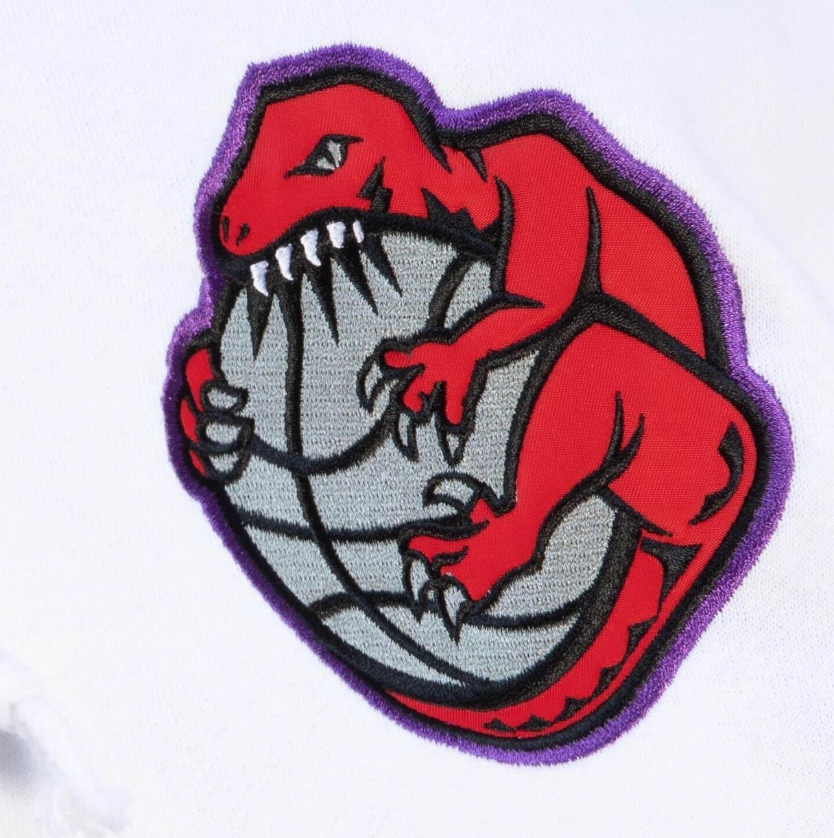 Mitchell & Ness Toronto Raptors NBA Basketball Mens Hoodie Size M (New)