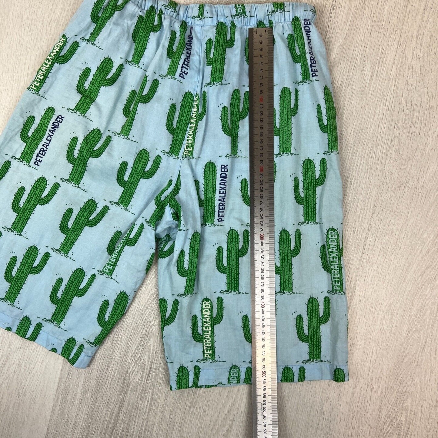 Peter Alexander Cactus Pattern Long Sleeve Blue Shorts Size XS