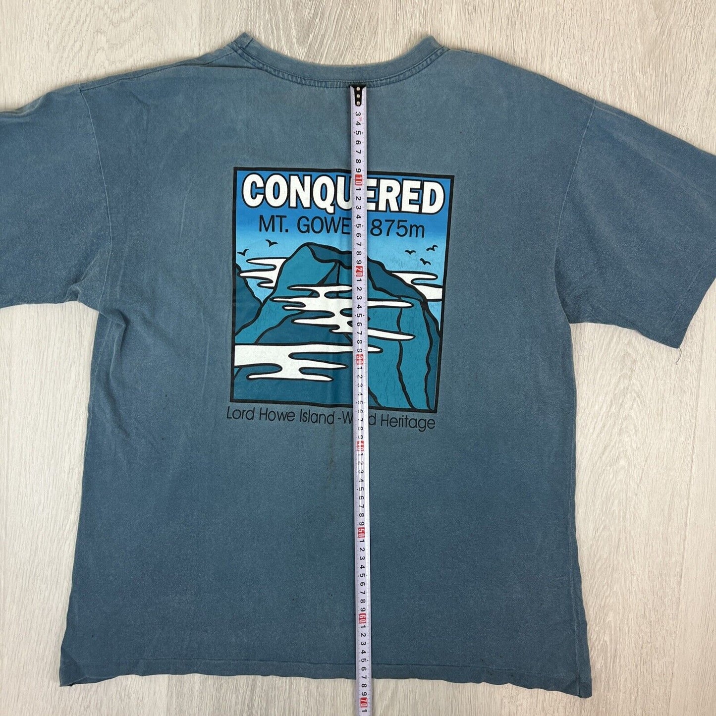 Conquered Mt Gower Lorde Howe Island Mens Blue T-shirt Size Large