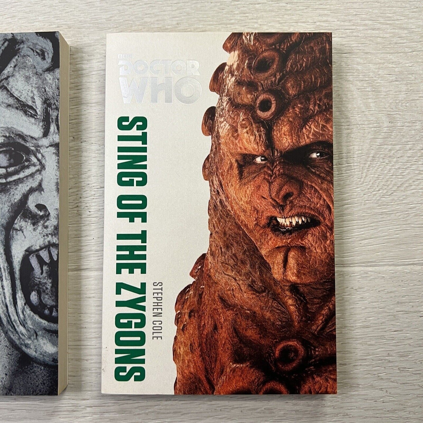 BBC Doctor Who Books - Touched by An Angel & Sting of the Zygons